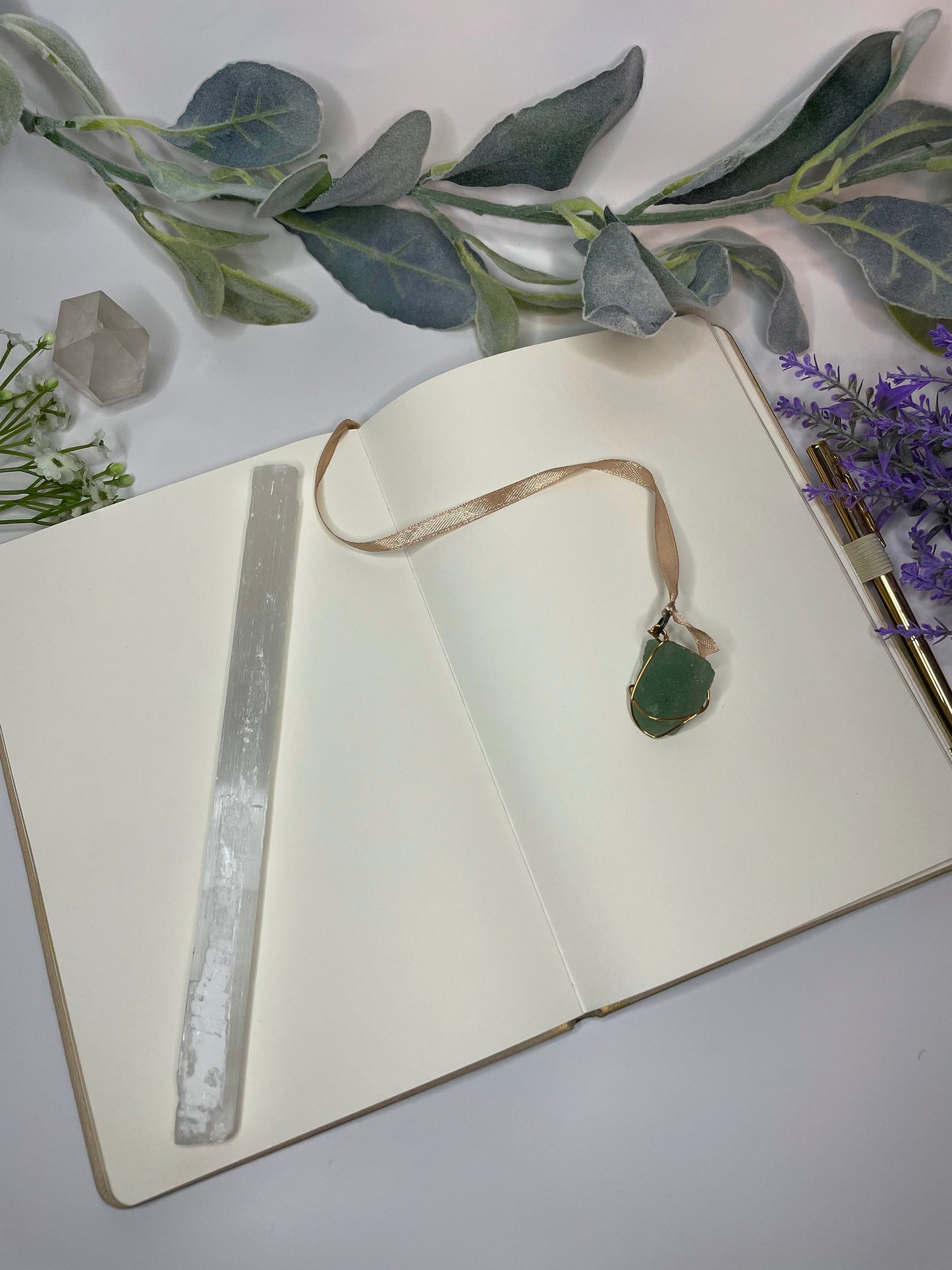 capricorn journal