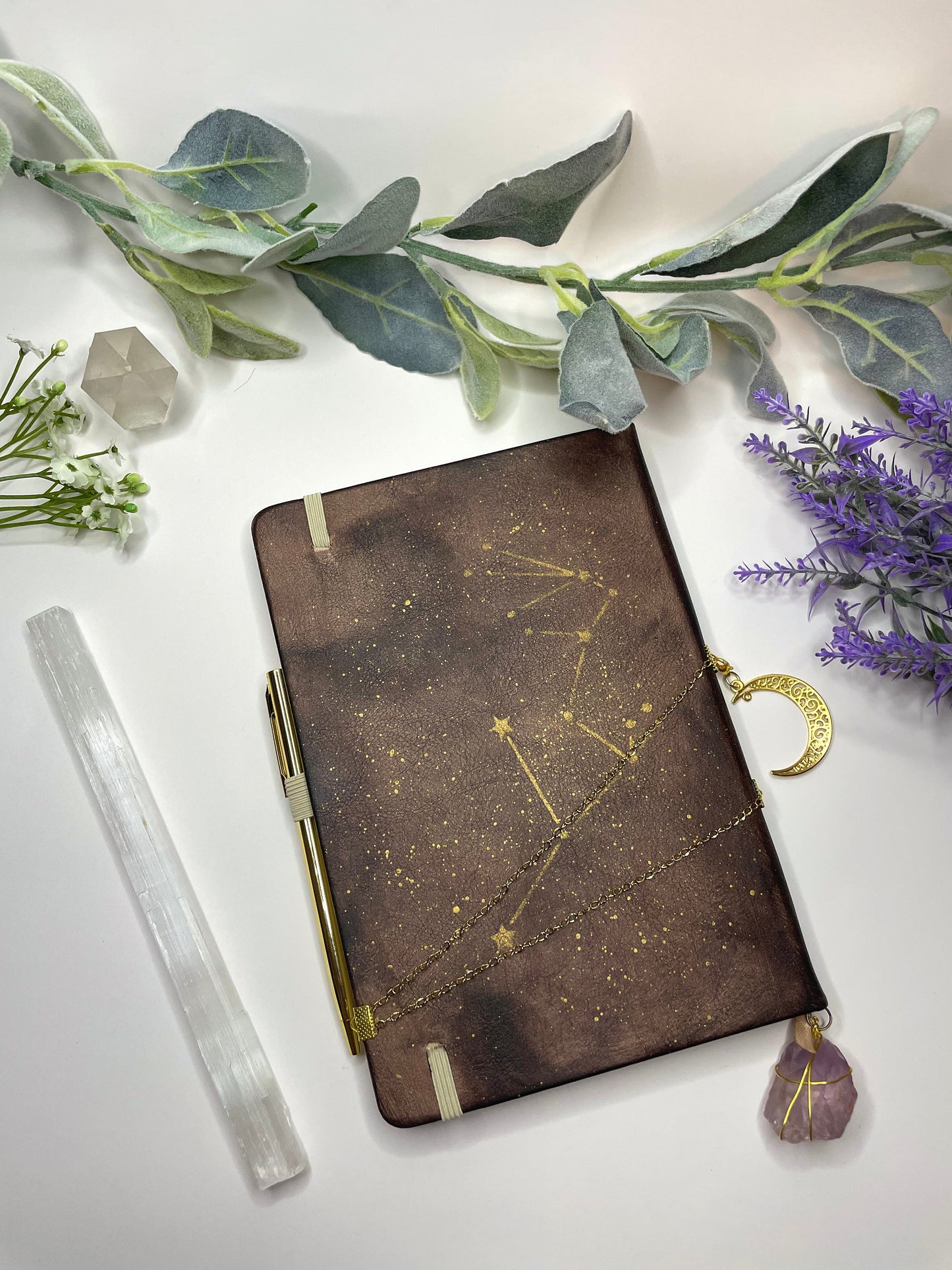 aquarius journal
