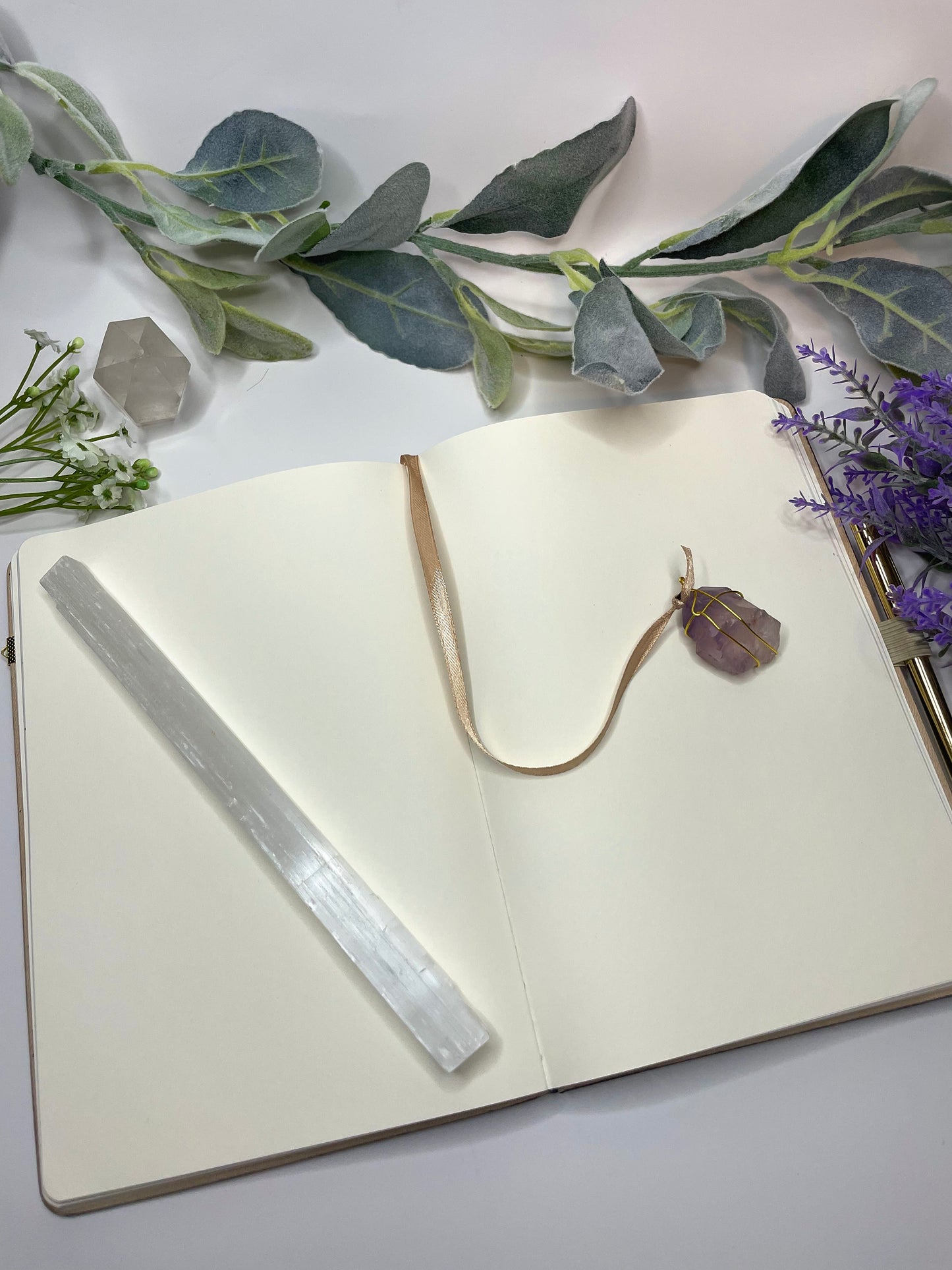 aquarius journal