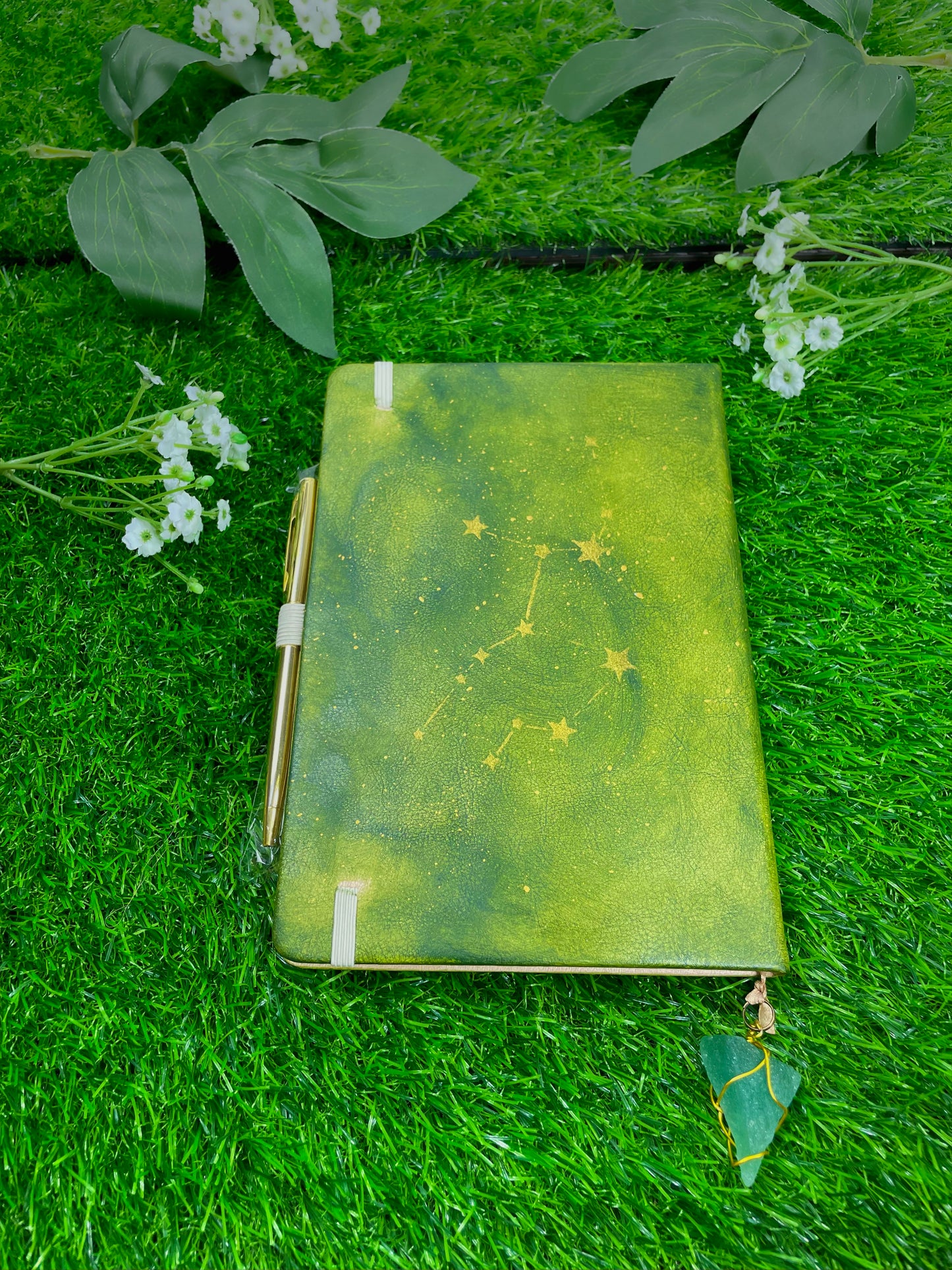 capricorn journal