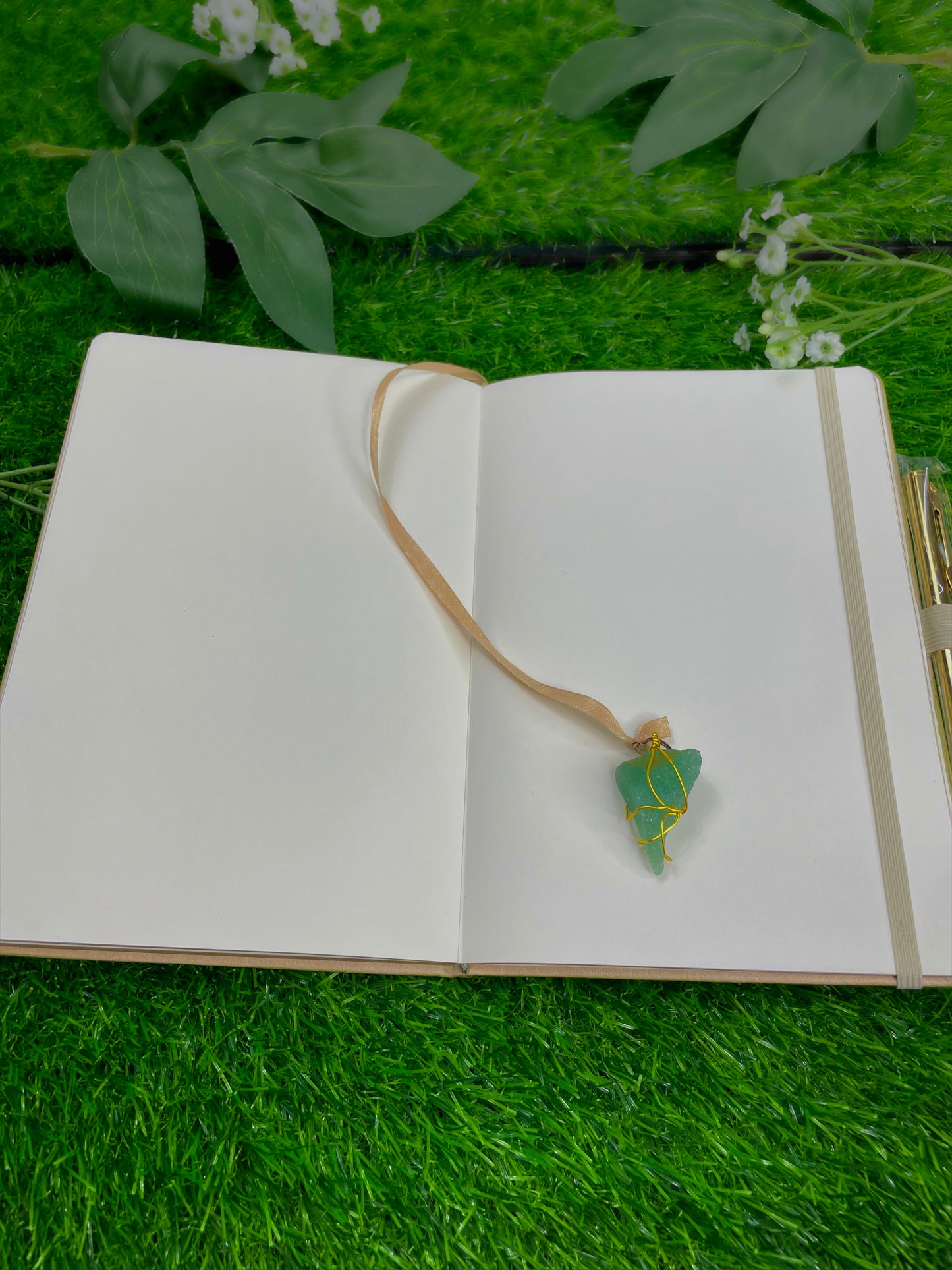 capricorn journal