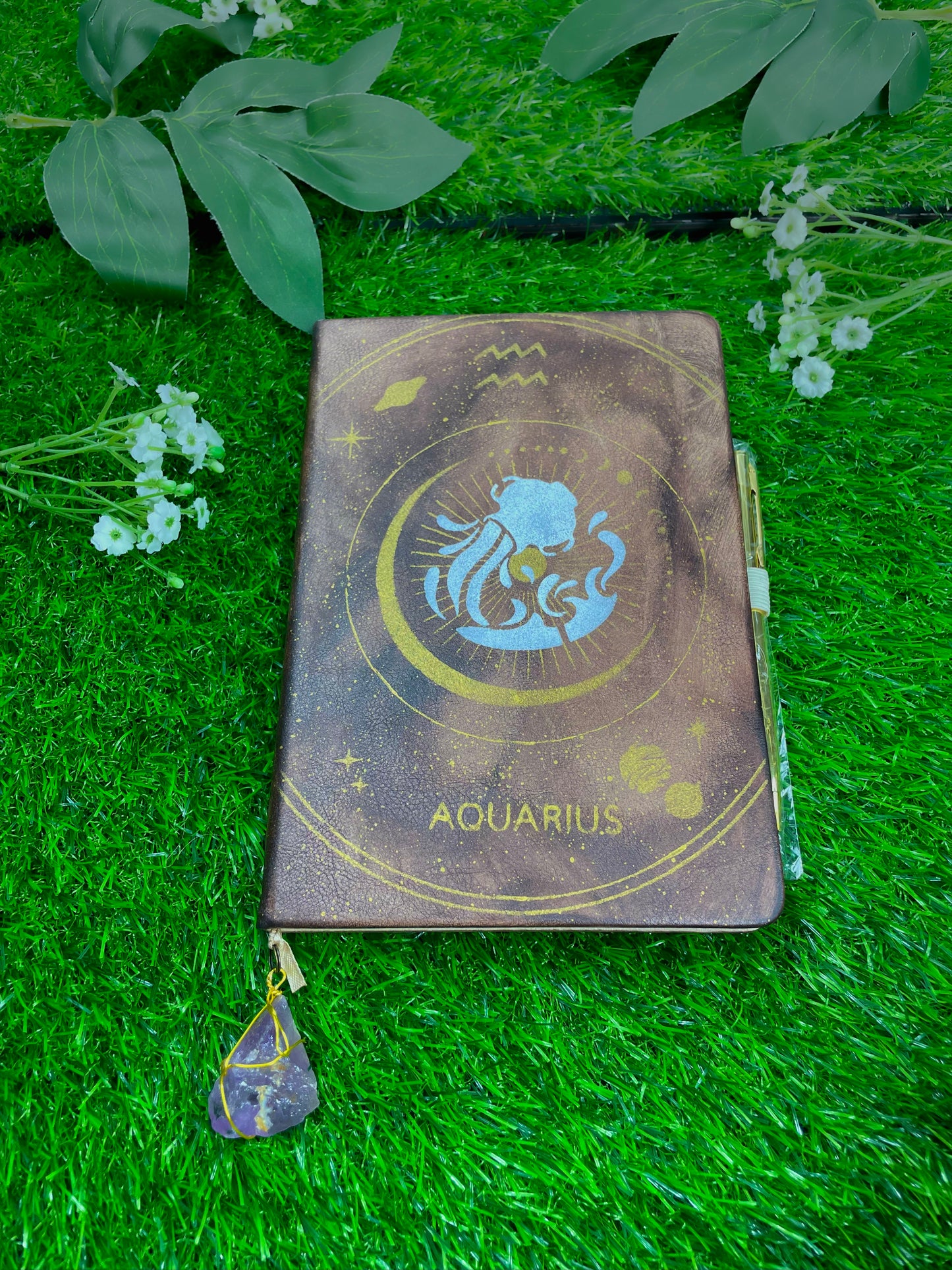 aquarius journal