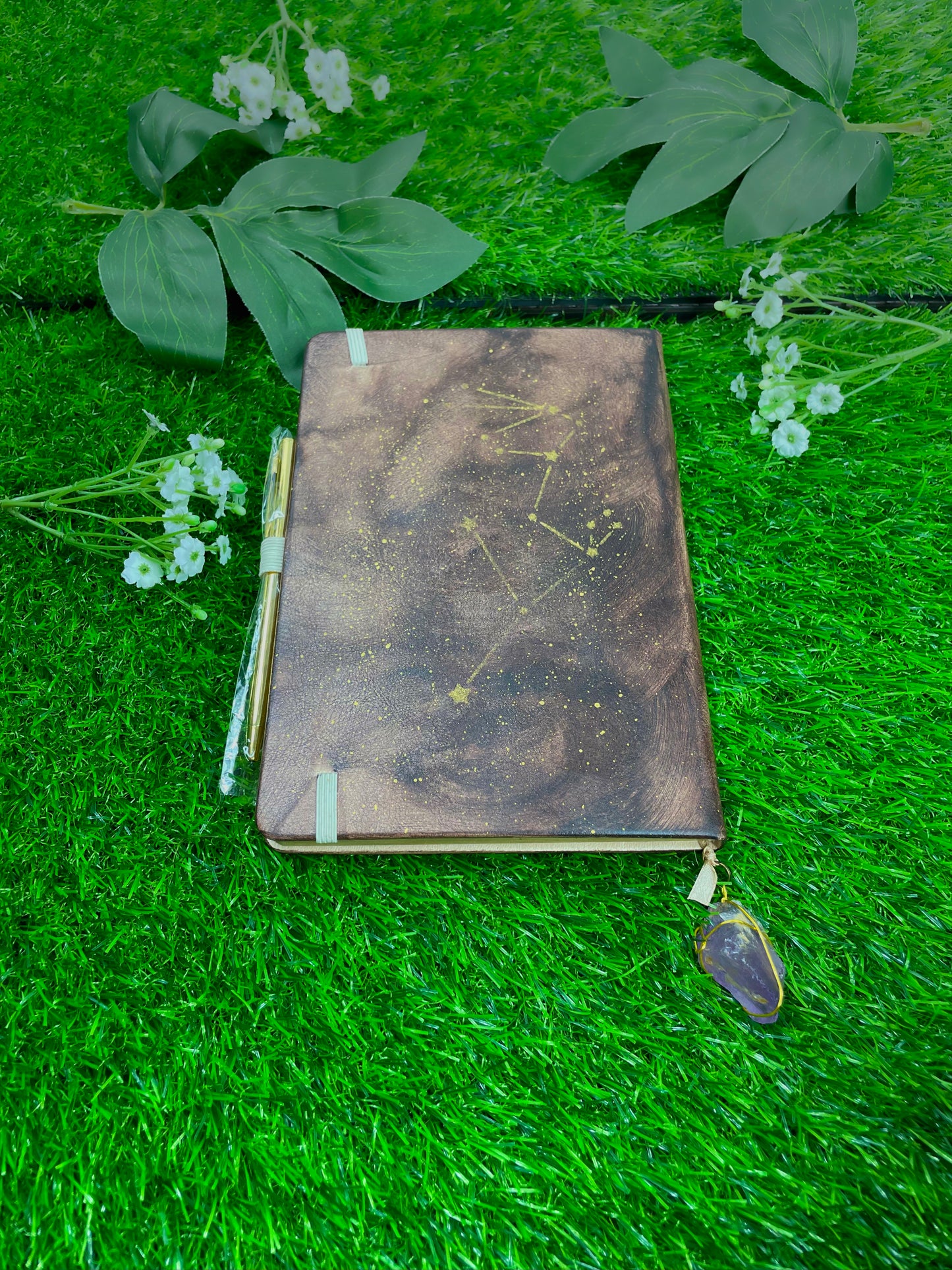 aquarius journal