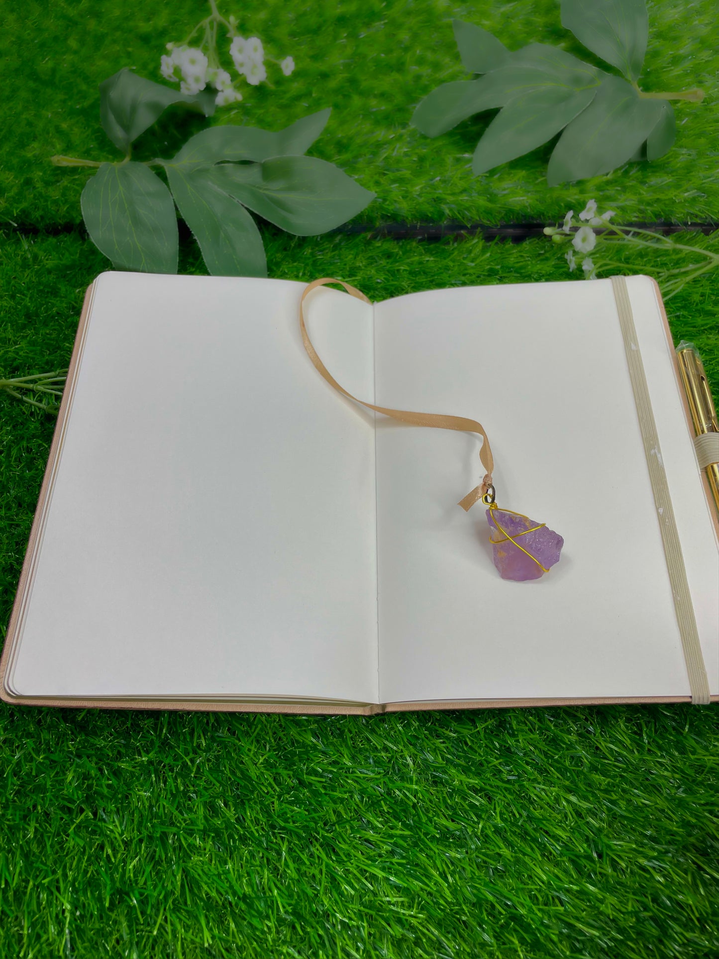 aquarius journal