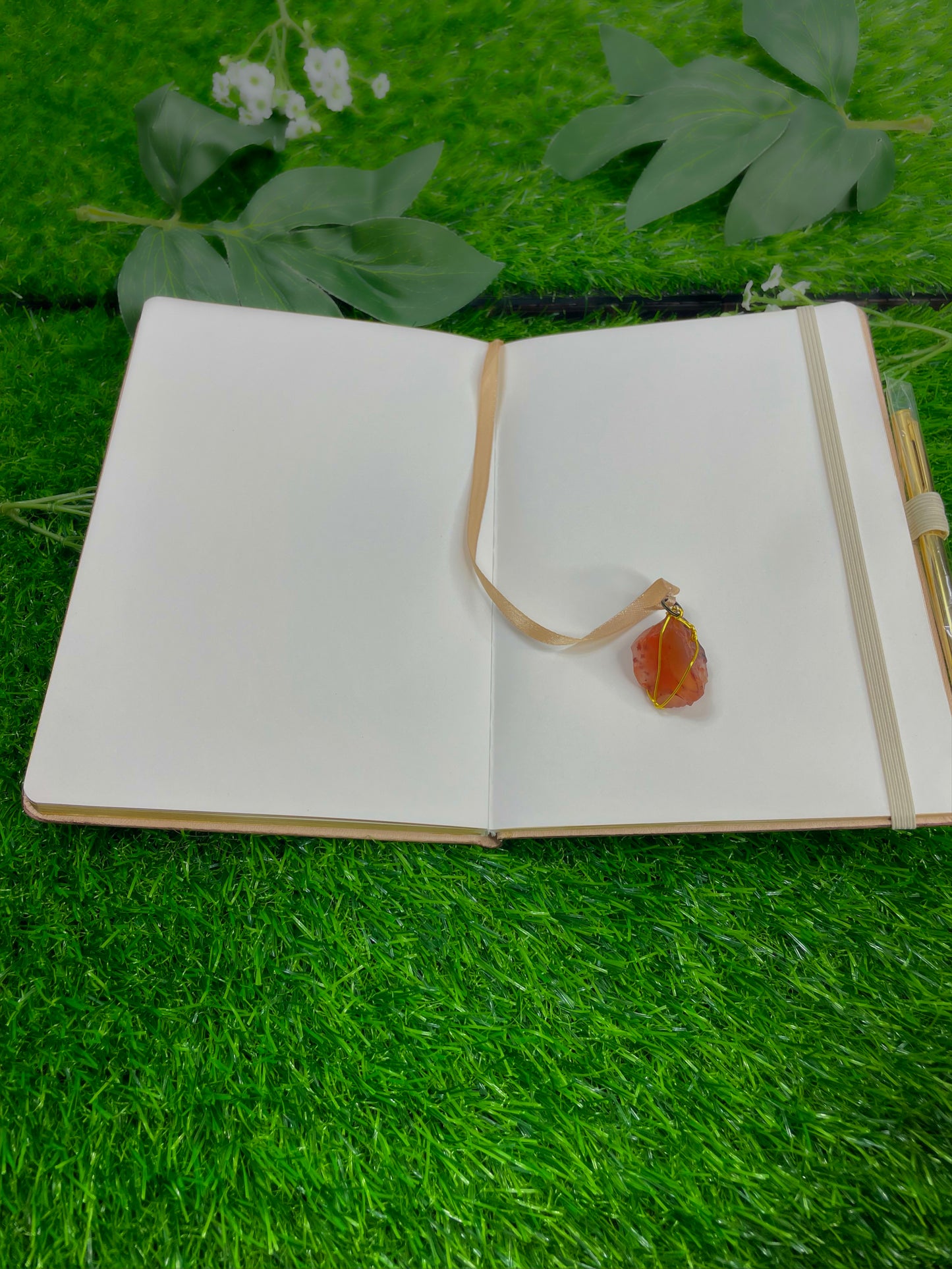 libra journal