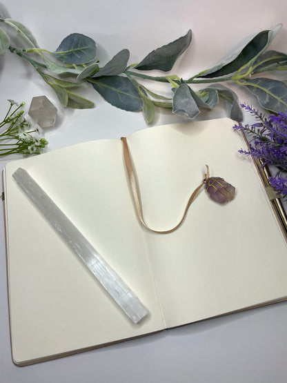 Aquarius Journal