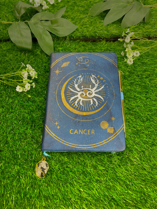 Cancer Journal