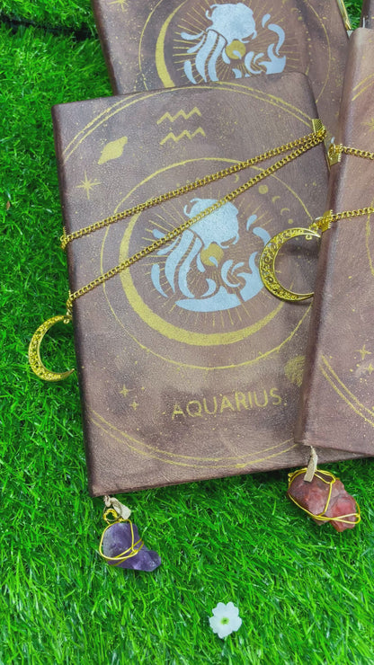 Aquarius Journal