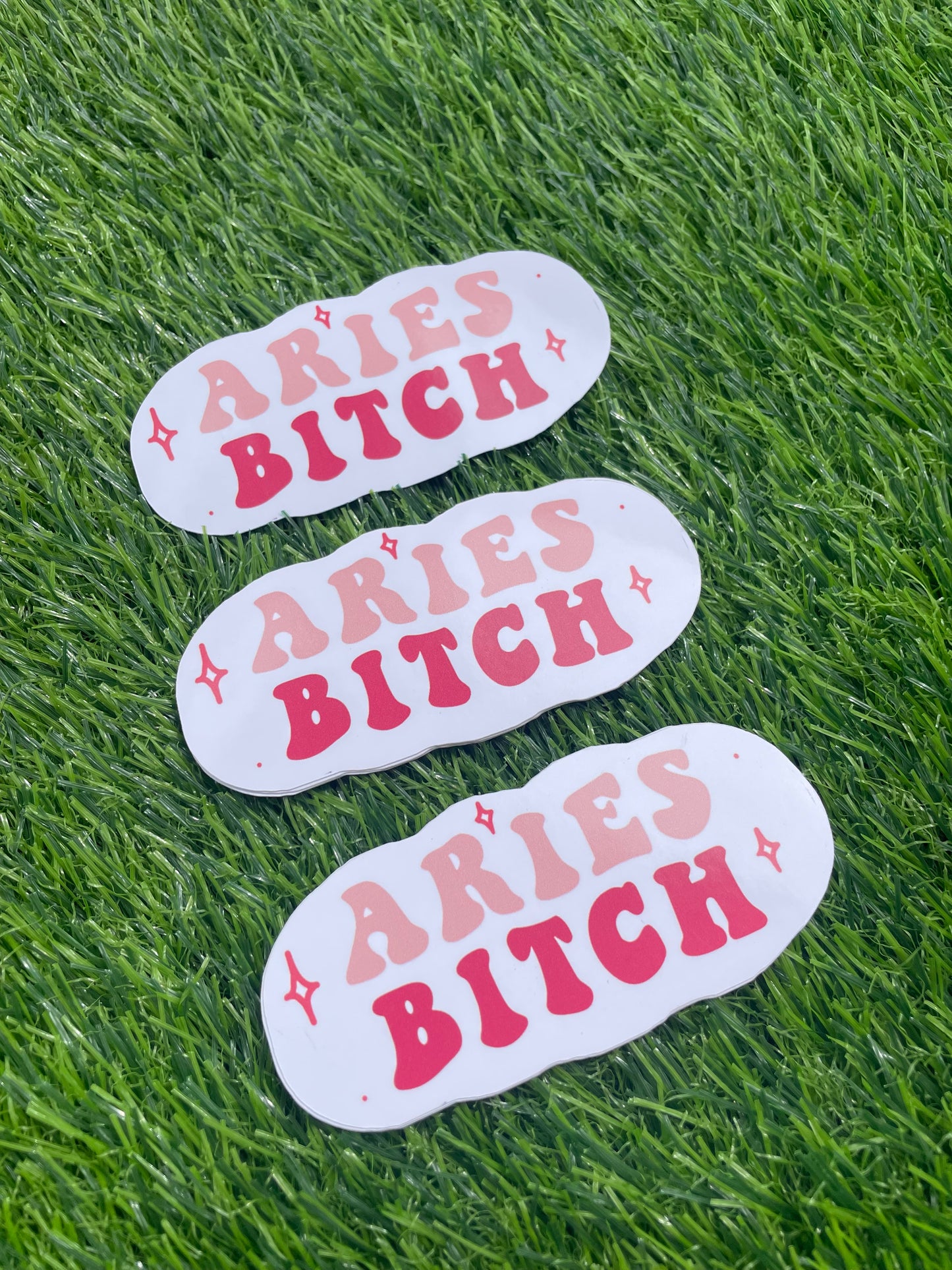 “aries b*tch” sticker