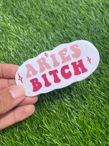 “Aries B*tch” Sticker